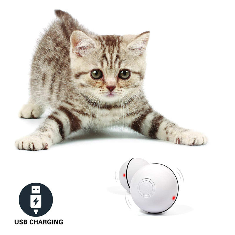 Smart Laser Rolling Cat Toy